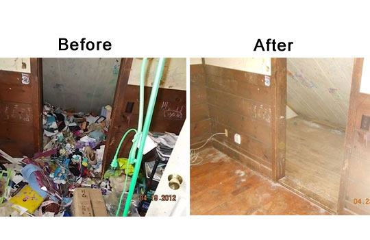 Starkey Debris Removal