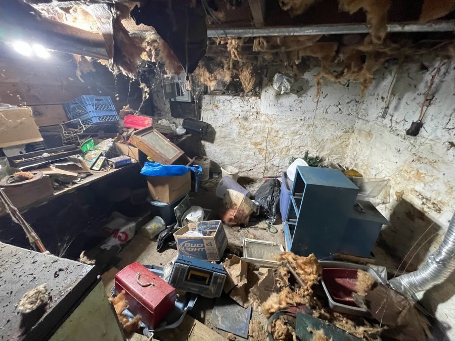 Dan's Demolition - Dan's Dump Runs photo