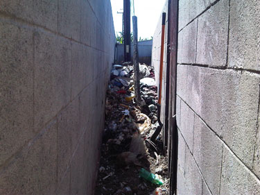 Go Junk Free America