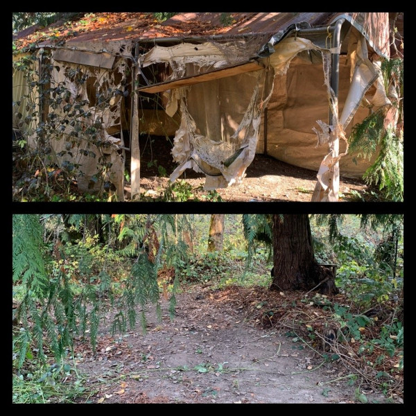 Busy Bees Junk Removal